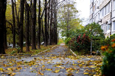 Новость